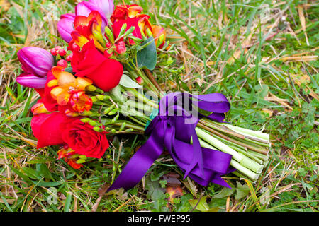 Eine Braut Hochzeit Blumenstrauß sitzt im grünen Rasen an einem Hochzeitstag. Rote Rosen, Tulpen und lila Band bilden der arra Stockfoto