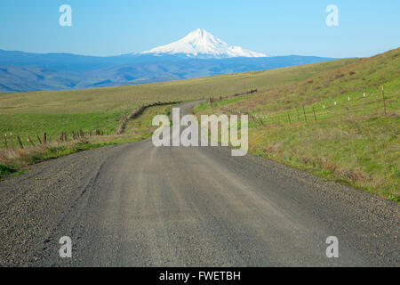 Dalles Bergstraße, Mount Hood, Columbia Hills State Park, Columbia River Gorge National Scenic Bereich, Washington Stockfoto