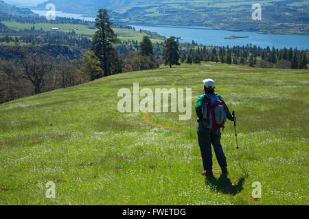 Wanderweg durch Wiesen, Catherine Creek Day Use Area, Columbia River Gorge National Scenic Area, Washington Stockfoto