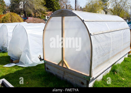 Diese Gewächshaus Gewächshäuser sind von hand Haus Paprika in diesem Garten gebaut. Stockfoto