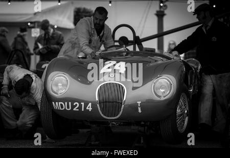 Ein Jaguar C-Type im Fahrerlager auf dem 2016 Goodwood Mitglieder treffen. Stockfoto