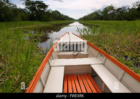 Amazonas-Regenwald: Expedition mit dem Boot entlang des Amazonas-Flusses in der Nähe von Iquitos, Loreto, Peru. Navigieren in einem der Nebenflüsse des th Stockfoto
