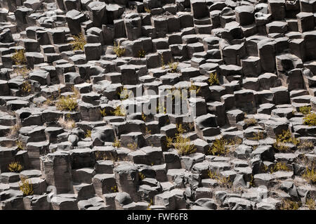 Basaltsäulen entlang der Seiten des Garni Schlucht, Armenien Stockfoto