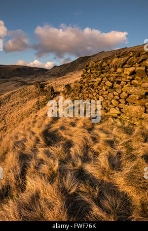 Am Abend Sonnenlicht auf einem felsigen Hang oberhalb Glossop in Derbyshire, Nordengland. Stockfoto