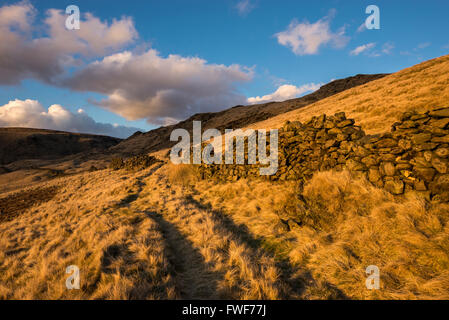 Am Abend Sonnenlicht auf einem felsigen Hang oberhalb Glossop in Derbyshire, Nordengland. Stockfoto