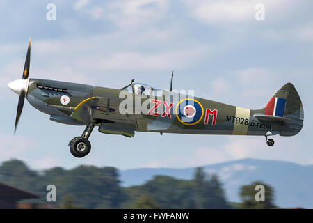 Supermarine Spitfire HF8C (Mk.8, Mk VIII) ikonische britische Weltkrieg Kämpfer Flugzeug D-FEUR Stockfoto