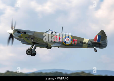 Supermarine Spitfire HF8C (Mk.8, Mk VIII) ikonische britische Weltkrieg Kämpfer Flugzeug D-FEUR Stockfoto