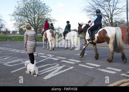 Wimbledon London, UK. 5. April 2016. Reiter auf Wimbledon Common an einem sonnigen Frühlingstag wie Temperaturen Aussehen legen Sie auf 18 Grad Celsius Credit: Amer Ghazzal/Alamy Live-Nachrichten Stockfoto