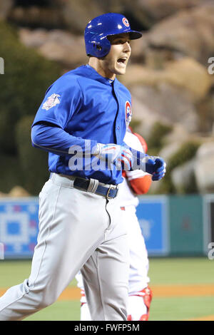 Anaheim, Kalifornien, USA. 5. April 2016. 5. April 2016: Chicago Cubs erster Basisspieler Anthony Rizzo #44 schreit seine Begeisterung nach seinem Homer im Spiel zwischen den Chicago Cubs und die Los Angeles Angels of Anaheim, Angel Stadium in Anaheim, CA, Fotograf: Peter Joneleit Credit: Cal Sport Media/Alamy Live News Stockfoto