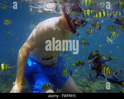 Pimalai Resort Aktivitäten: Dabei Schnorcheln in Koh Rok im Lanta Marine National Park. Koh Lanta. Krabi. Thailand. Snorkellin Stockfoto