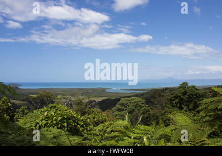 Blick aus dem Regenwald direkt auf das Meer und der Mündung des Daintree River in Queensland, Australien. Stockfoto