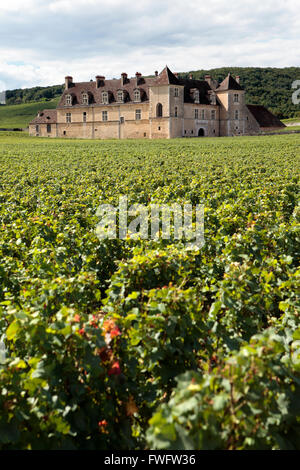 Querformat eines typischen sonnigen Weinbergs in Burgund, Frankreich mit Chateau Clos Du Vougeot im Hintergrund. Stockfoto