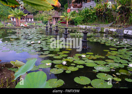 Wasser-Becken, Wasser Tempel Tirta Gangga, Bali, Indonesien Stockfoto