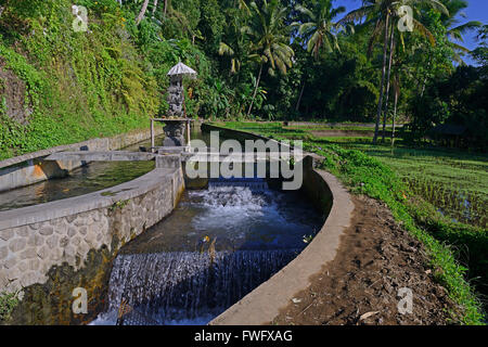 Bewässerung-Kanal für Reis-Terrassen, im Frühling Tempel Pura Gunung Kawi, Bali, Indonesien Stockfoto