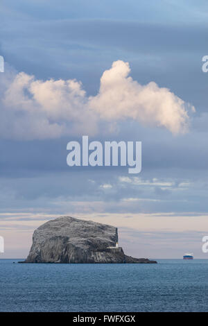 Bass Rock, North Berwick, East Lothian, Schottland. Stockfoto