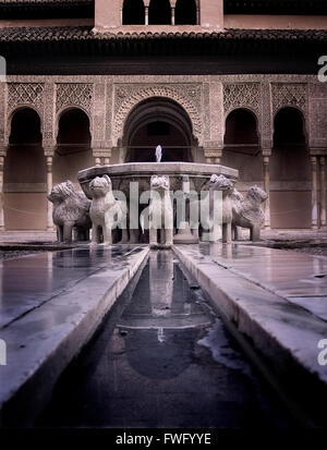 Patio de Los Leones, Alhambra, Granada, Spanien Stockfoto