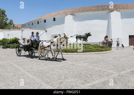 Pferdekutsche vorbei an der Stierkampfarena Ronda, Provinz Malaga, Andalusien, Südspanien, Westeuropa. Stockfoto