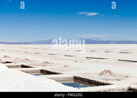 Salt Lake Salinas Grandes, Provinz Jujuy, Argentinien Stockfoto