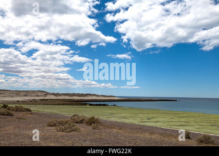 Atlantik-Küste in der Nähe von Puerto Madryn, Patagonien, Argentinien Stockfoto