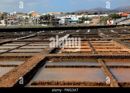 Verdunstung von Meerwasser in Salinen, Museo De La Sal, Salzmuseum, Las Salinas del Carmen, Fuerteventura, Kanarische Inseln-Spanien Stockfoto