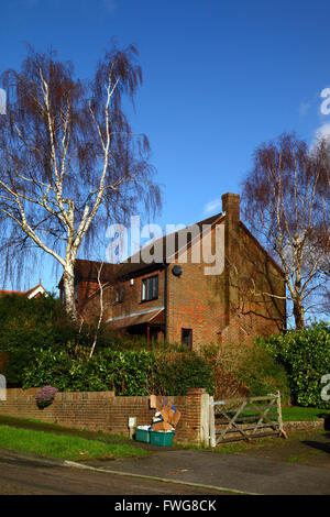 Grüne Mülltonnen mit Pappe für das Recycling warten auf die Abholung vor dem Haus auf dem gehobenen Anwesen in Southborough, Kent, England Stockfoto