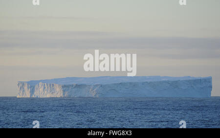 Tabellarische Eisberg im südlichen Ozean in der Nähe der südlichen Orkneyinseln bei Sonnenuntergang. Süd-Orkney-Inseln. Stockfoto