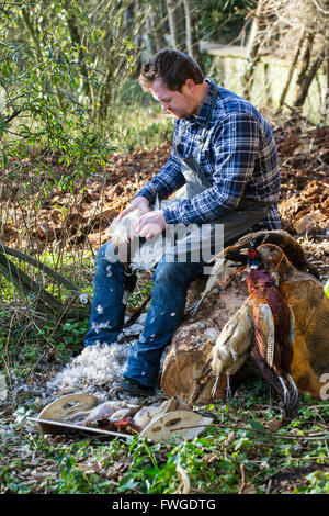 Ein Mann sitzt auf einem Baumstumpf zupfen Federn aus einem Spiel Vogel-Karkasse. Stockfoto