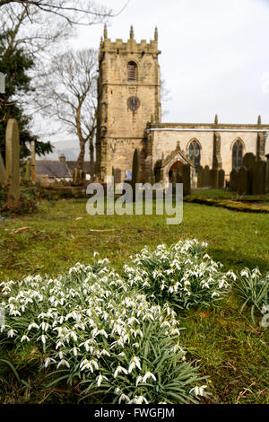 Schneeglöckchen und Edmund Kirche im Hintergrund Castleton Peak District Derbyshire England Stockfoto