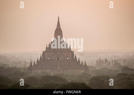 Sonnenaufgang am Sulamani buddhistische Tempel, antike Stadt Bagan (Pagan), Myanmar (Birma), Asien Stockfoto