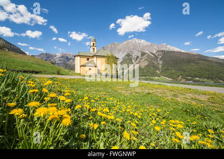 Gelbe Blumen und grünen Wiesen umrahmen die Kirche Oga, Nationalpark Stilfser Joch, oberen Veltlin, Bormio, Lombardei, Italien Stockfoto