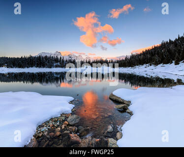 Die Farben der Morgenröte auf die schneebedeckten Gipfel und Wälder spiegelt sich im See Palu, Malenco Tal, Valtellina, Lombardei, Italien, Europa Stockfoto