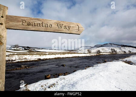 Melden Sie für der Pennine Way Wanderweg auf verschneite Landschaft von der River Tees, obere Teesdale, County Durham, England Stockfoto