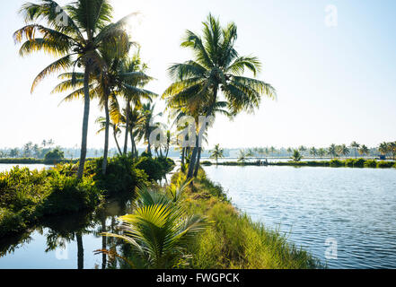 Backwaters in der Nähe von North Paravoor, Kerala, Indien, Südasien Stockfoto