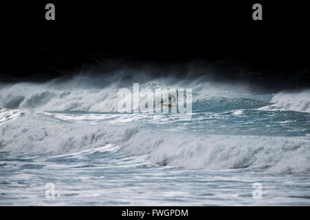Windigen Wetterbedingungen sind ideal für Surfer am Fistral Beach in Newquay, Cornwall. Stockfoto