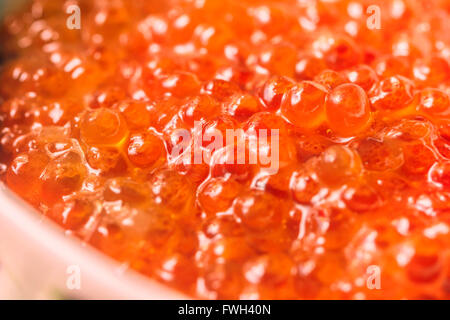 Roter Kaviar in weißen Schale für perfekte Party und Abendessen Stockfoto