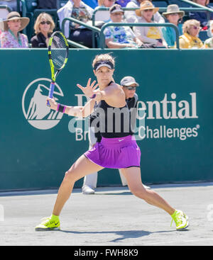 Charleston, SC, USA. 5. April 2016. Charleston, SC - 5. April 2016: Eugenie Bouchard (CAN) spielt gegen Alexandra Dulgheru (ROU) während der Volvo Auto Open im Kreis der Familie Tennis Center in Charleston, SC. Credit: Csm/Alamy Live-Nachrichten Stockfoto