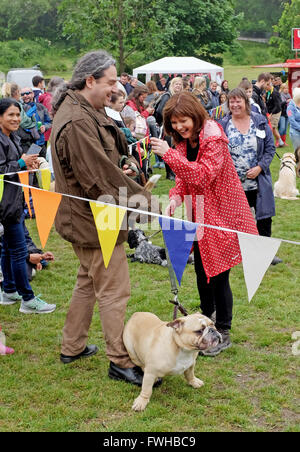 Brighton UK 12. Juni 2016 - Conferencier Annabel Giles trifft Freddie und seinem Besitzer Danny Boyle in der schönste Hund-Klasse bei der jährlichen Rinde in der Park-Hundeausstellung in Queens Park Brighton und die eines der beliebtesten Community-Events in der Stadt Credit geworden ist: Simon Dack/Alamy Live News Stockfoto