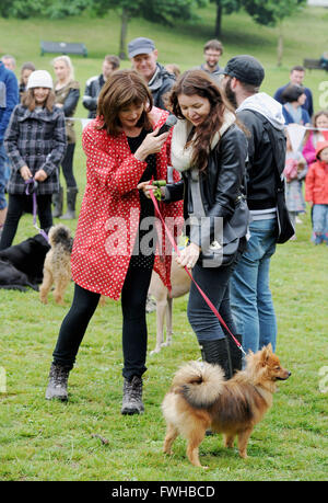 Brighton UK 12. Juni 2016 - Conferencier Annabel Giles trifft sich die Teilnehmer bei der jährlichen Rinde in der Park-Hundeausstellung in Queens Park Brighton statt und die ist heute eines der beliebtesten Community-Events in der Stadt Credit: Simon Dack/Alamy Live News Stockfoto