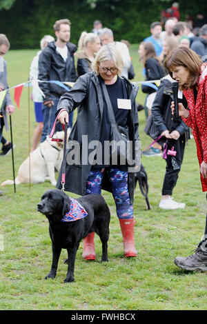 Brighton UK 12. Juni 2016 - Conferencier Annabel Giles trifft sich die Teilnehmer bei der jährlichen Rinde in der Park-Hundeausstellung in Queens Park Brighton statt und die ist heute eines der beliebtesten Community-Events in der Stadt Credit: Simon Dack/Alamy Live News Stockfoto