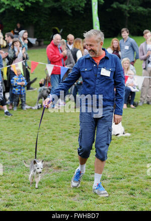 Brighton UK 12. Juni 2016 - Teilnehmer in der Veteranenklasse auf der jährlichen Rinde in der Park-Hundeausstellung in Queens Park Brighton statt und die ist heute eines der beliebtesten Community-Events in der Stadt Credit: Simon Dack/Alamy Live News Stockfoto