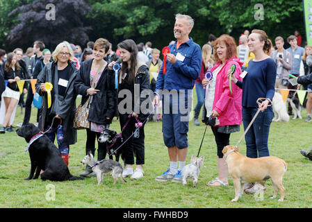 Brighton UK 12. Juni 2016 - Teilnehmer in der Veteranenklasse auf der jährlichen Rinde in der Park-Hundeausstellung in Queens Park Brighton statt und die ist heute eines der beliebtesten Community-Events in der Stadt Credit: Simon Dack/Alamy Live News Stockfoto