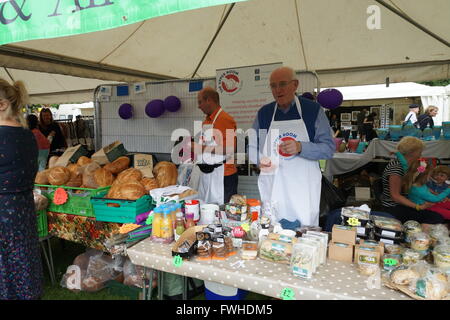 London, UK. 12. Juni 2016. Berühmte Gartenviertel Bedford Park feiert seinen 50. Green Days-Fete mit einer Vielzahl von Ständen, Kirmes Fahrgeschäfte sowie live-Auftritte und einen Stall für eine lokale Gruppe Einspruch gegen die geplante 3. Start-und Landebahn für nahe gelegenen Flughafen in London (Heathrow). Anwohner und Schatten Außenminister Hilary Benn schlossen sich den Spaß. Bildnachweis: Peter Hogan/Alamy Live-Nachrichten Stockfoto