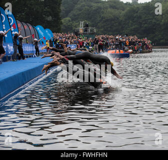 Leeds, UK. 12. Juni 2016. First World Triathlon statt in Leeds, Uk.  Elite Männer beginnen die erste Runde des Freiwasser schwimmen in Roundhay Park Leeds. Bildnachweis: James Copeland/Alamy Live-Nachrichten Stockfoto