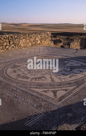 Volubillis ist eine alte römische Stadt in Marokko.  Als die alte Hauptstadt von Mauretanien.  Meknes-Stadt in der Nähe. Stockfoto