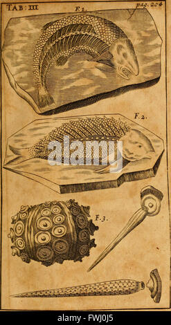 Diese Arbeit beschäftigt sich mit theologischen und wissenschaftlichen Perspektiven auf die Erschaffung der Welt, die biblische Flut und die endgültige Auflösung der Welt und bietet eine Kombination von religiösen und natürlichen Erklärungen aus der Sicht des 17. Jahrhunderts. Stockfoto