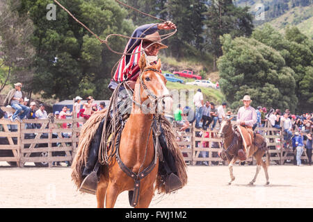 Banos, Ecuador - 30. November 2014: junger Latin Cowboy auf einem Pferd reitet und versucht, einen Stier In Banos fangen Lasso werfen Stockfoto