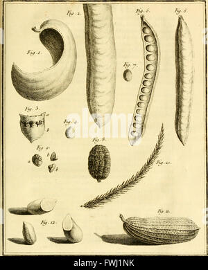 Voyage de Californie pour Observation du Passage de VC3A9nus Sur le Disque du Soleil le 3 Juin 1769; Contenant Les Beobachtungen de ce phC3A9nomene und la Beschreibung Historique De La Route de l'auteur C3A0 Stockfoto