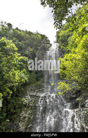 Wasserfall im Haleakala National Park, Maui, Hawaii Stockfoto