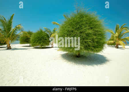 Malerische Malibu Beach auf Koh Phangan, Thailand Stockfoto