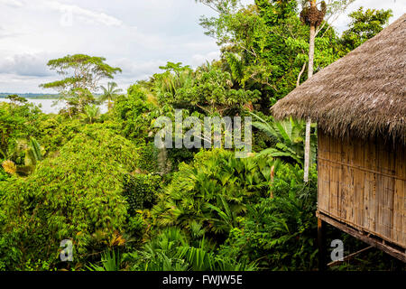 Blick auf ein Eco-Loge, Amazonas-Regenwald, Yasuni Nationalpark, Südamerika Stockfoto